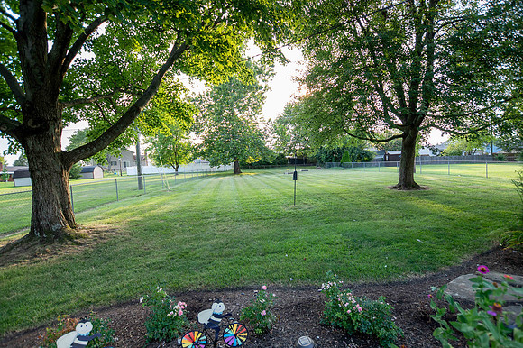 DSC_1965-HDR
